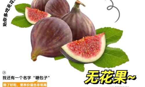 玉米排骨荔枝汤的功效-玉米排骨怎么做好吃法大全网- 玉米排骨怎么做知识,分享玉米排骨怎么做